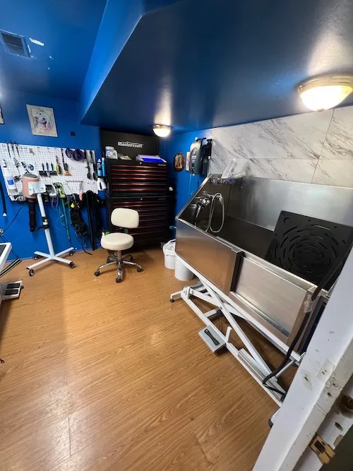 View of the Grooming Room